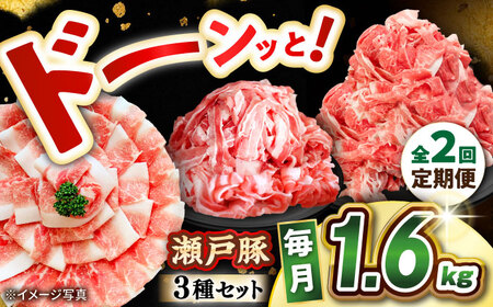 [全2回定期便] 瀬戸豚 豚肉3種セット 計1.6kg (ロースしゃぶ500g、バラスライス500g、肩バラ切り落とし600g) / 肉 豚肉 豚バラ しゃぶしゃぶ 冷凍 小分け / 瀬戸市 / 関屋精肉店[BBBQ228]