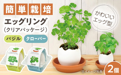 エッグリング クリアパッケージ 2個(バジル、クローバー) / 栽培キット 園芸 ハーブ / 瀬戸市 / 聖新陶芸[BBEK003]