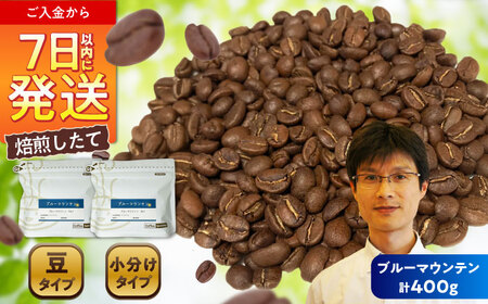 ブルーマウンテンNo.1 コーヒー豆 200g×2個(豆のまま発送) / コーヒー ドリップ 豆 / 瀬戸市 / Coffee SAKURA [BBAB008]