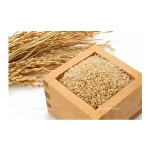 ߘa7NY@̂@ā@10kgy1677350z