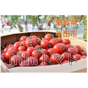 HANDAミラトマト3kg[ミニトマト]