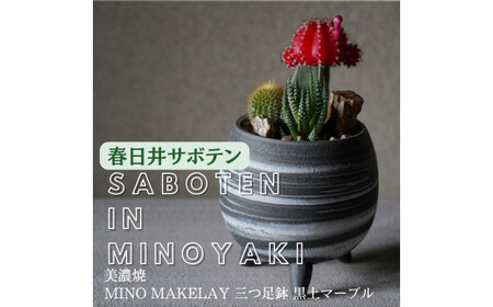 多治見市×春日井市コラボ [美濃焼] MINO MAKELAY 三つ足鉢 黒土マーブル ×[日本有数のサボテン産地]春日井市の名店 後藤サボテン