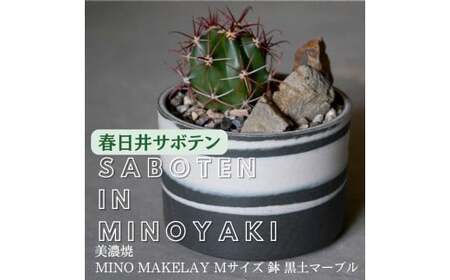 多治見市×春日井市コラボ [美濃焼] MINO MAKELAY Mサイズ 鉢 黒土マーブル ×[日本有数のサボテン産地] 春日井市の名店 後藤サボテン