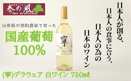 春日井ワイナリ-春の風 (寧)デラウェア 白ワイン 750ml ワイン 白 ギフト 贈り物 度数11.3% デラウウェア 香り 糖度 フルーツ 香り 国産 ぶどう 葡萄 ライトな味わい 甘口