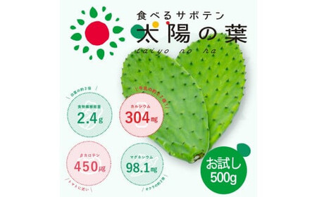 [期間限定]食べるサボテン 太陽の葉 フレッシュリーフ(新芽限定・お試し500g)