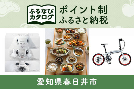[有効期限なし!後からゆっくり特産品を選べる]愛知県春日井市カタログポイント