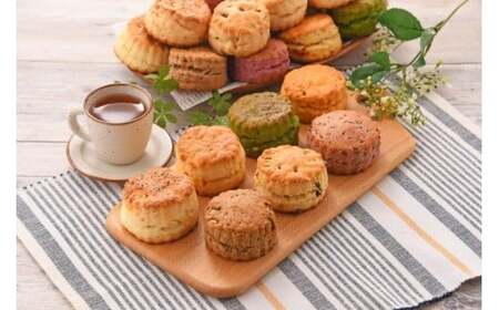 UEXR[(9) kCEEւ̔zs