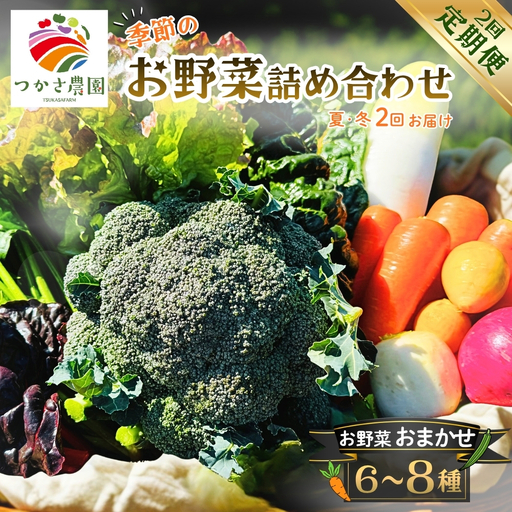 [定期便2回(夏・冬)]つかさ農園 季節のお野菜詰め合わせ(6〜8種) ※北海道・沖縄・離島への配送不可