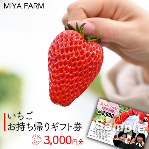 [先行受付]MIYA FARM いちごお持ち帰りギフト券 3,000円分 ※2026年12月〜発送