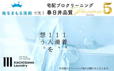 宅配クリーニング 春日井品質プレミアム(5点コース)