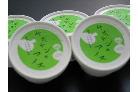 サボテンのアイス (10個入り)