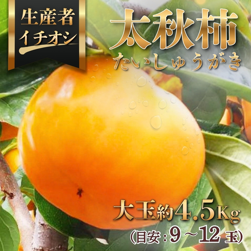 太秋柿(たいしゅうがき)約4.5kg(目安:9〜12玉) ※2026年11月〜発送