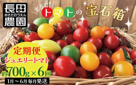 1月〜6月毎月発送 まるでトマトの宝石箱!ジュエリートマトの定期便 約700g×6回コース