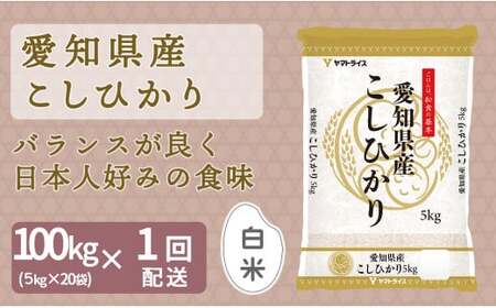 [精米]愛知県産コシヒカリ 100kg(5kg×20袋) 安心安全なヤマトライス 米 白米 国産 精米 大容量 5キロ