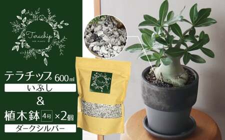 三河焼 植木鉢 ダークシルバー[テラチップいぶし]プランター お手軽 植物栽培セット