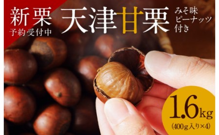[新栗]予約受付中!!この道50年の職人が焼く､やさしい甘みたっっっぷり!「天津甘栗」1.6kg