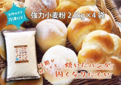 焼いたパンが固くなりにくい小麦粉 2.5kg×4袋(計10kg)　H008-129