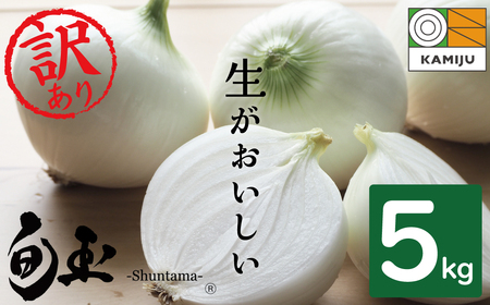 (2026N)󂠂 Vʂ˂  _d_Ỹuhʂ˂u{ʁv5kg uhʂ˂ ʂ˂ Y mY  ₳ _ƒ  { Ԍ ܂˂ s\ { Y