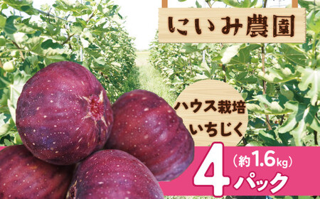 [ハウス栽培]朝もぎ フレッシュな完熟いちじく 碧南市 にいみ農園 フルーツ いちじく トマト農家