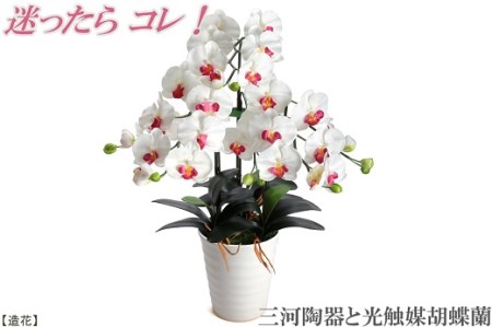 綺麗で丈夫な三河陶器で贈る 光触媒胡蝶蘭大輪3本立(白色の陶器×白桃色の花)
