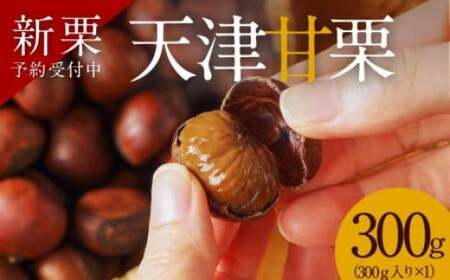 [新栗]先行予約 !!この道50年の職人が焼く、やさしい甘みたっぷりの「天津甘栗」300g! 焼きたて 栗 くり 栗爪 殻付き お菓子 おつまみ 人気 高リピート 小分け 栗ご飯 栗きんとん 甘露煮 予約 受付