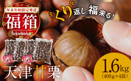 y2026zyԂIz NNn蔭 ̓50N̐ElĂ₳Â݂ՂIVÊÌI1.6kg H045-067