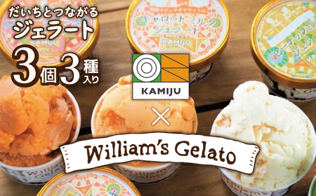 (お試し)[3種のフレーバーを食べ比べ!!]だいちとつながるジェラート3個セット 映えるデザインが可愛いと話題に!! マドンナキャロット 地元野菜 甘い アイス スイーツ デザート 洋菓子 可愛い 詰め合わせ キャロットミルク フルーツサラダ ピーナッツミルク 自慢 冷たい にんじん 人参 落花生 ピーナッツ 農家 神重農産
