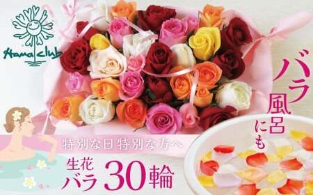 [日付指定も可能] 観賞はもちろん!バラ風呂やフラワーシャワーに! ローズインにゅーよーくミックス30輪 バラ30輪詰め合わせ 風呂 薔薇 ローズ ギフト プレゼント ラッピング インテリア お花 フラワー