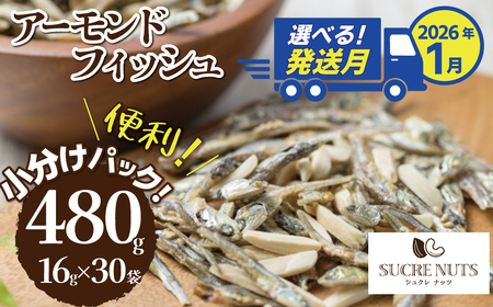 [2026年1月発送] 手軽に健康習慣 小分けのこざかなアーモンド カシューナッツ入り 480g(16gx30袋) おうち時間 おやつ 大満足 美容 健康 栄養豊富 人気 高リピート ナッツ H059-121_Jan