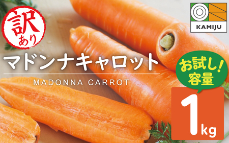 ���t�W�e���r�w�ǂ����̂ӂ邳�ƁH�x�ŏЉ��܂����I���y���ԁE���ʌ���z�i�������j�󂠂�I���ǂ����H�ׂ���Â݁I�u�}�h���i�L�����b�g�v 1kg �ɂ񂶂� �l�Q �j���W�� ��� �₳