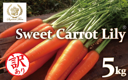 メディア出演多数！！ 【期間限定】3/15まで受付！（訳あり）鈴盛農園の甘～いにんじん 『スウィートキャロットリリィ』 5kg 人参 甘い ご家庭用 ジュース サラダ スムージー ジューシー 安心 H022-019