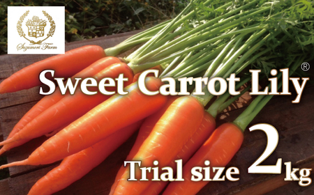 メディア出演多数!! [期間限定] ( お試し ) 鈴盛農園の甘〜いにんじん 『スウィートキャロットリリィ』 2kg 人参 甘い ご家庭用 ジュース サラダ スムージー ジューシー 安心 試用 自慢