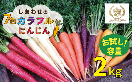 [予約受付]メディア出演多数![期間限定](お試し) 冬の寒さでぎゅっと濃い!虹色のカラフルにんじん 2kg 鈴盛農園 農家直送 甘い スーパーフード 健康 自慢 ジュース サラダ ギフト 贈り物 βカロテン ポリフェノール リコピン ジューシー 試用 自慢 おためし