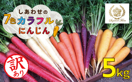 [予約受付] メディア出演多数![期間限定](訳あり) 冬の寒さでぎゅっと濃い!虹色のカラフルにんじん 5kg 鈴盛農園 農家直送 甘い スーパーフード 健康 自慢 ジュース サラダ ギフト 贈り物 βカロテン ポリフェノール リコピン ジューシー 規格外 自慢 おためし