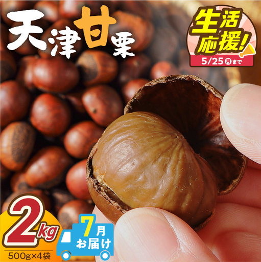 [2026年7月発送][特別容量 1.6kg⇒2kg] ( 生活応援 ) この道50年の職人が焼く､やさしい甘みたっっっぷり!「天津甘栗」 2kg 焼きたて 栗 くり 栗爪 殻付き お菓子 おつまみ 人気 高リピート 小分け 栗ご飯 栗きんとん 甘露煮 選べる 発送月 碧南市 H045-107_Jul