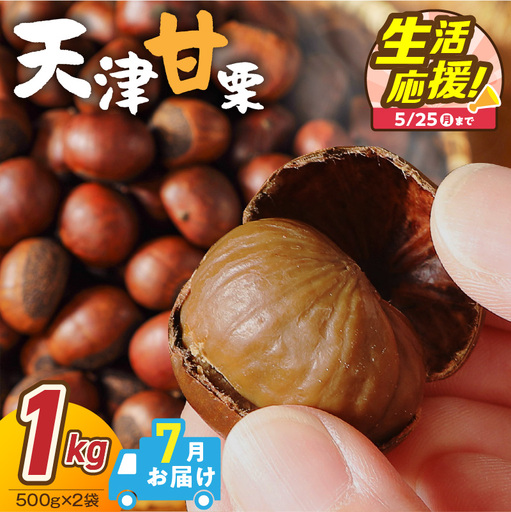 [2026年7月発送][特別容量 800g⇒1kg] ( 生活応援 ) この道50年の職人が焼く､やさしい甘みたっっっぷり!「天津甘栗」 1kg 焼きたて 栗 くり 栗爪 殻付き お菓子 おつまみ 人気 高リピート 小分け 栗ご飯 栗きんとん 甘露煮 感謝を込めて 碧南市 H045-106_Jul