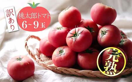 [訳あり] この道40年の農家から直送 完熟!桃太郎トマト6〜9玉