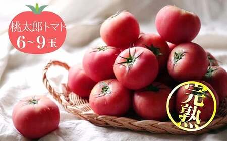 ̓40N̔_Ƃ璼 nIYg}g 6`9ʁ@H139-018