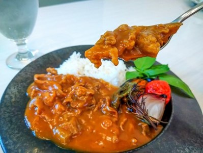 碧南DELIシリーズ お肉惣菜 無添加 とろける牛すじカレー 約800g(200g×4食)