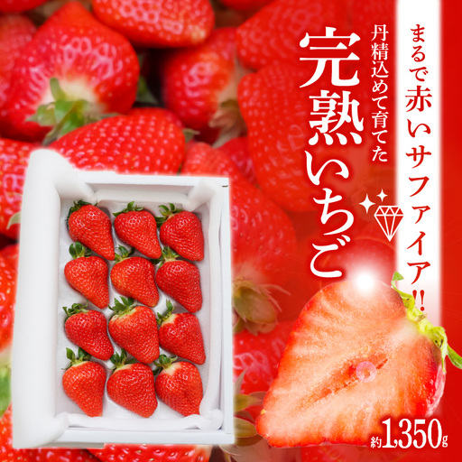 【12月以降順次発送】まるで赤いサファイア!!丹精込めた完熟いちご!! 約1350g H130-011