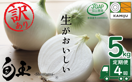 訳あり 新玉ねぎ 定期便 5kg×4回 生がおいしい 神重農産のブランド玉ねぎ「旬玉」 ブランド玉ねぎ 新玉ねぎ 国産 愛知県産 野菜 やさい 農家直送 畑直送 旬 たまねぎ 先行予約 特産 高評価 高リピート 人気