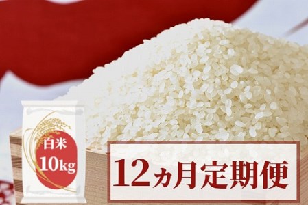 【定期便】愛知県産 あいちのかおり 10kg×12回（計120kg） H017-084