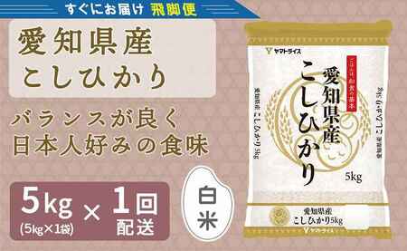 愛知県産コシヒカリ 5kg 安心安全なヤマトライス