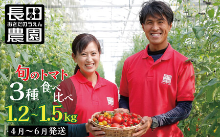 [個数限定]おすすめトマト3種 食べ比べ 1.2〜1.5kg 長田農園しかできない夢の共演