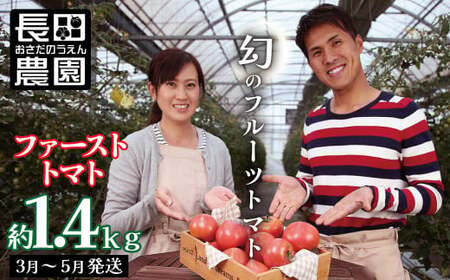 [大人気!]たった3ヶ月しか食べられない 幻のファーストトマト たっぷり1.4kg(3月〜5月発送)