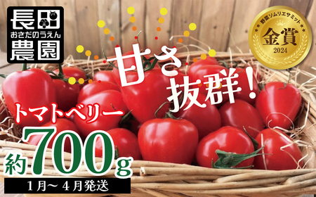 [お試し]甘さ抜群!トマト嫌いでも食べられるトマトベリー 700g(1月〜4月発送)