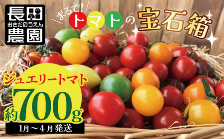 [お試し]まるでトマトの宝石箱!ジュエリートマト 700g(1月〜4月発送)