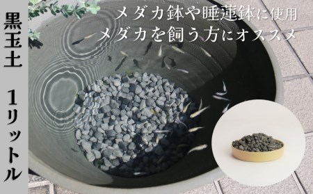 [バクテリアが多く住める多孔質ろ材]黒玉土1リットル めだか鉢 金魚鉢 メダカ 鉢 陶器 睡蓮 多孔質土