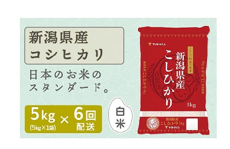 新潟県産コシヒカリ 5kg　※定期便6回　下旬発送　安心安全なヤマトライス　H074-368