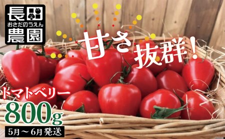 【お試し】幻のミニトマト トマトベリー 800g H004-114